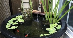 small garden ponds ideas