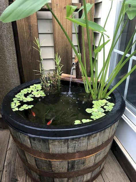 Creating Cozy and Serene Garden Ponds for Small Spaces