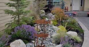 rock garden landscaping