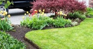 landscaping flower beds