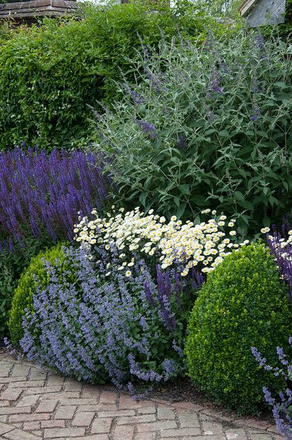 Creating Stunning Garden Borders Using Plants and Flowers