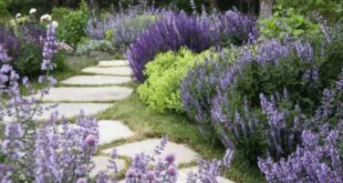 landscaping pathway ideas