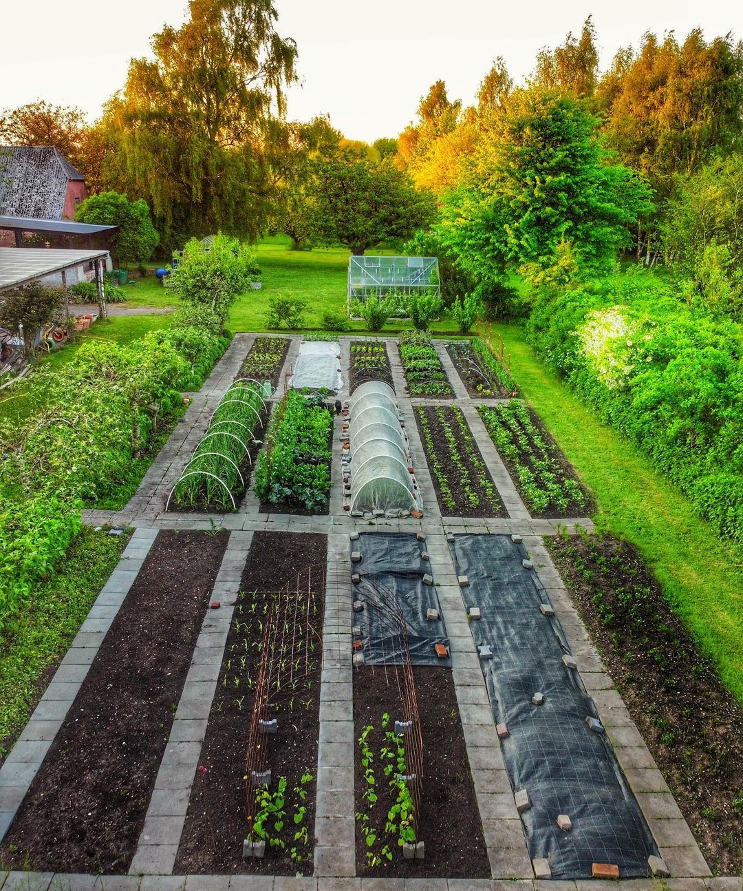 Creating Stunning Vegetable Gardens: The Art of Garden Design