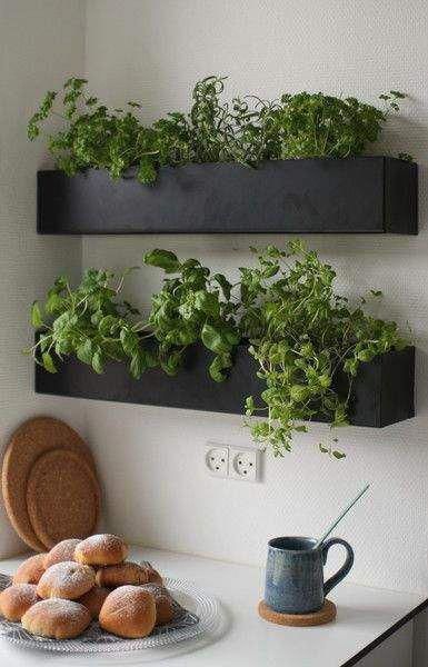 Creating Your Own Indoor Herb Paradise