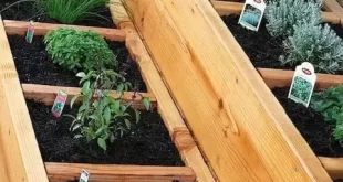 raised garden beds diy