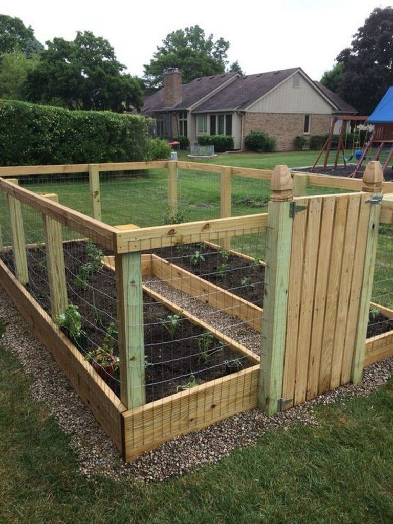 Creating Your Own Raised Garden Beds from Scratch