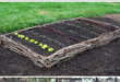 raised planter vegetable garden