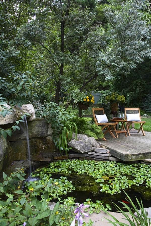 Creating Your Own Tranquil Oasis: The Beauty of a Backyard Pond