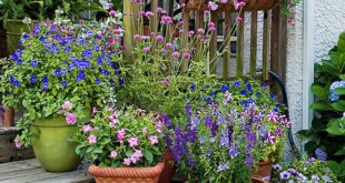 patio garden ideas