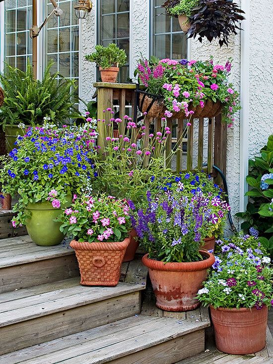 Creating Your Perfect Patio Garden: Inspiration and Ideas