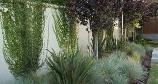 simple backyard landscaping along fence