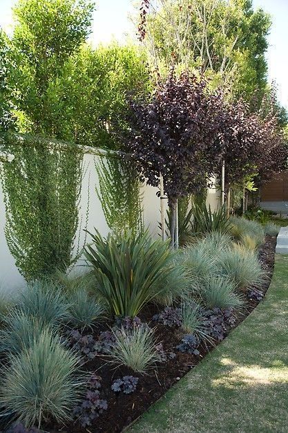 Creating a Beautiful Backyard Landscape Along Your Fence