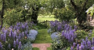 cottage landscaping