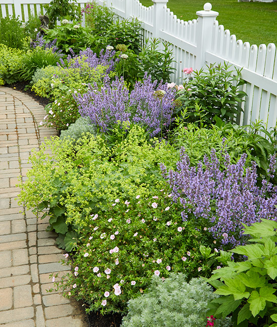 Creating a Beautiful Cottage Garden: Tips for Landscaping Your Outdoor Space