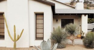 desert landscaping front yard