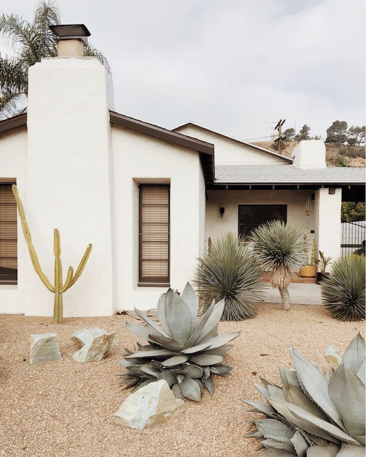 desert landscaping front yard