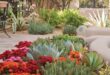 desert landscaping front yard