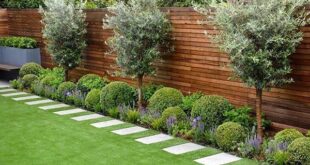 simple backyard landscaping along fence