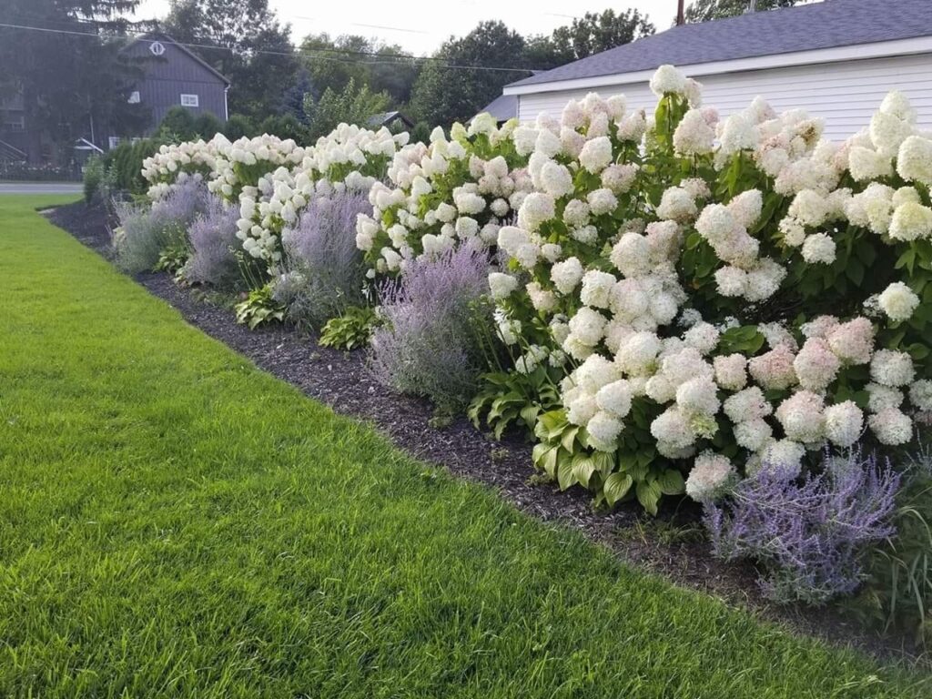 front lawn landscape ideas