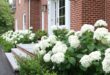 landscaping in front of porch