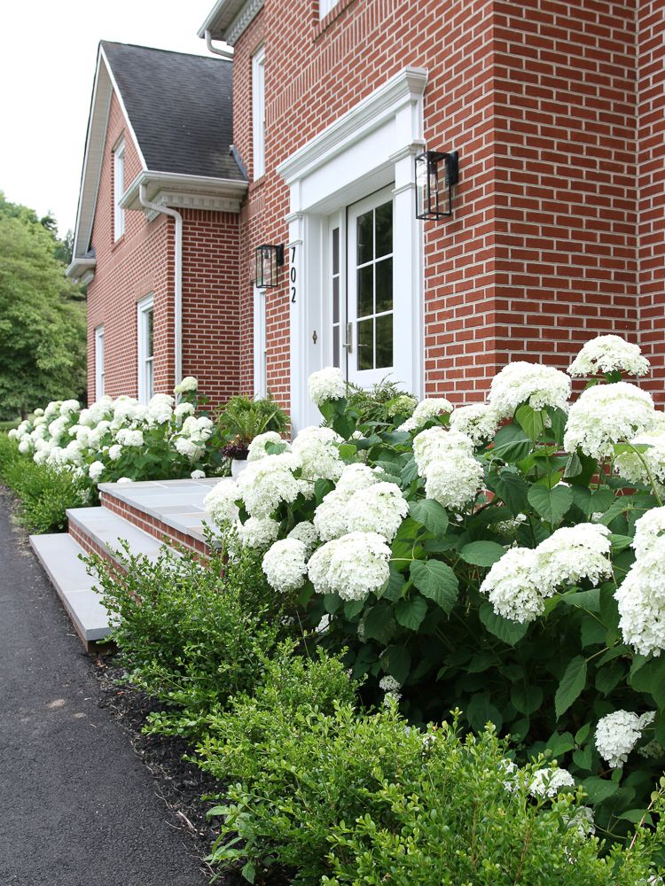 Creating a Beautiful Front Porch Oasis with Stunning Landscaping