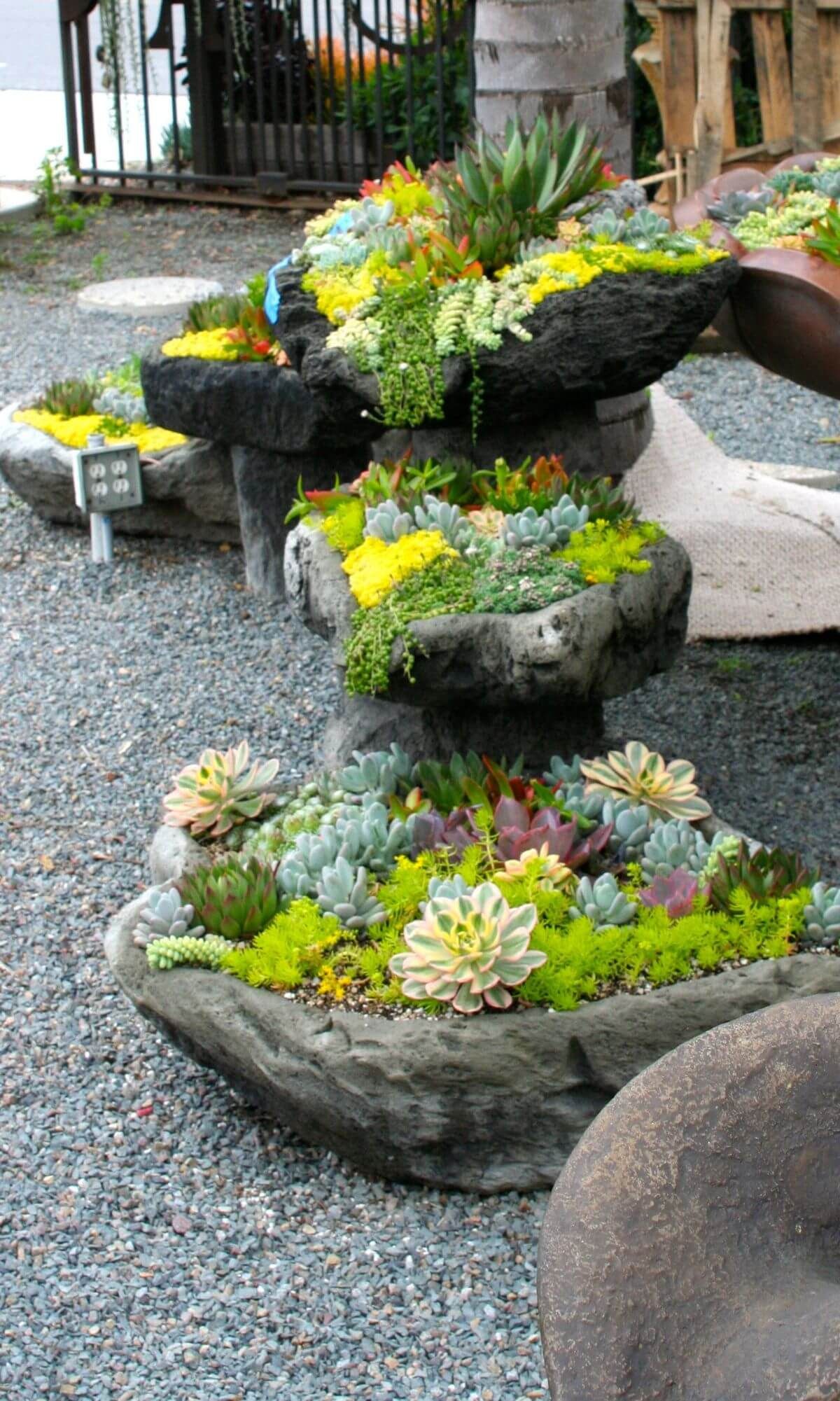 Creating a Beautiful Front Yard: Landscaping Inspiration