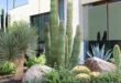 desert landscaping front yard