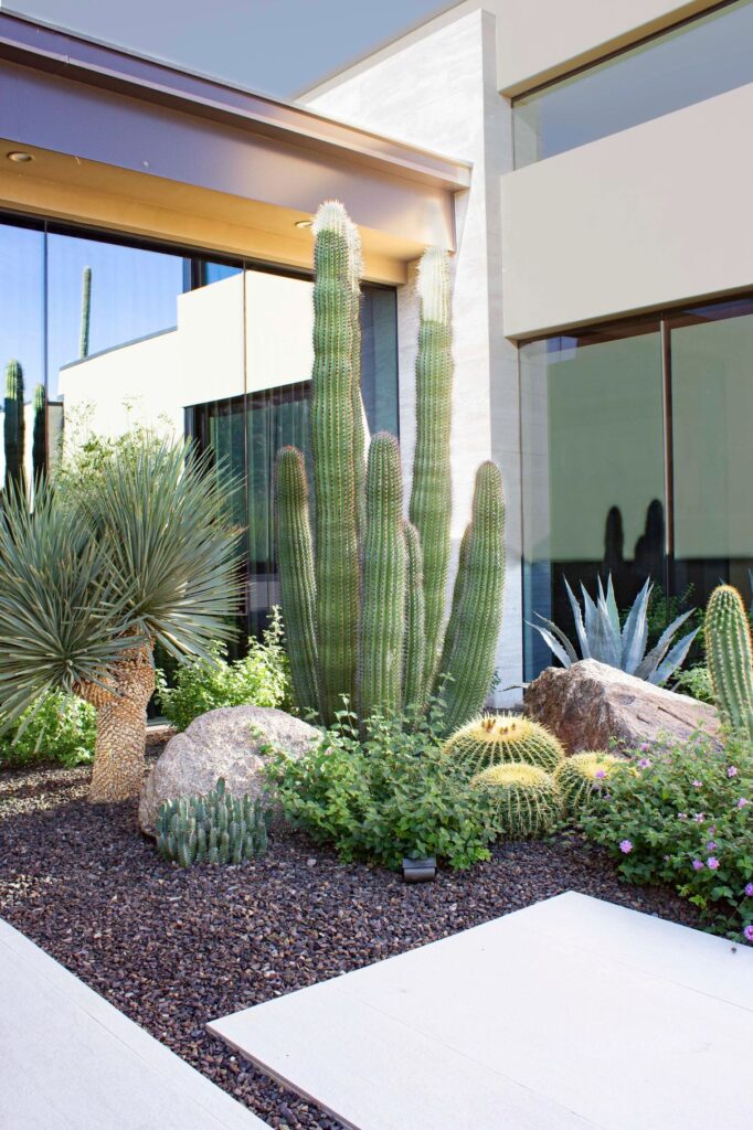 desert landscaping front yard