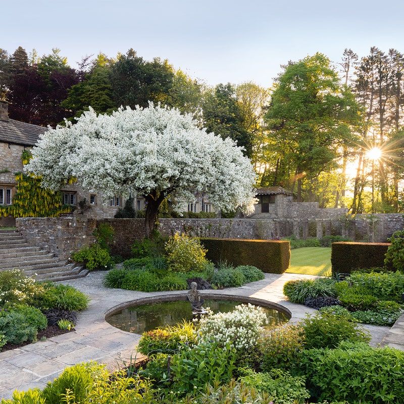 Creating a Beautiful Garden Landscape