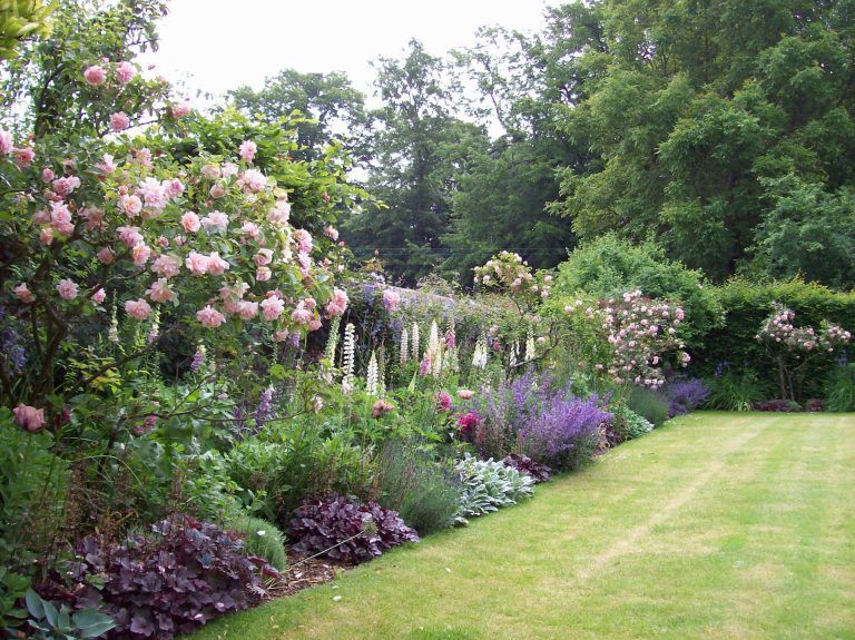 Creating a Beautiful Garden Oasis: A Guide to Landscape Design