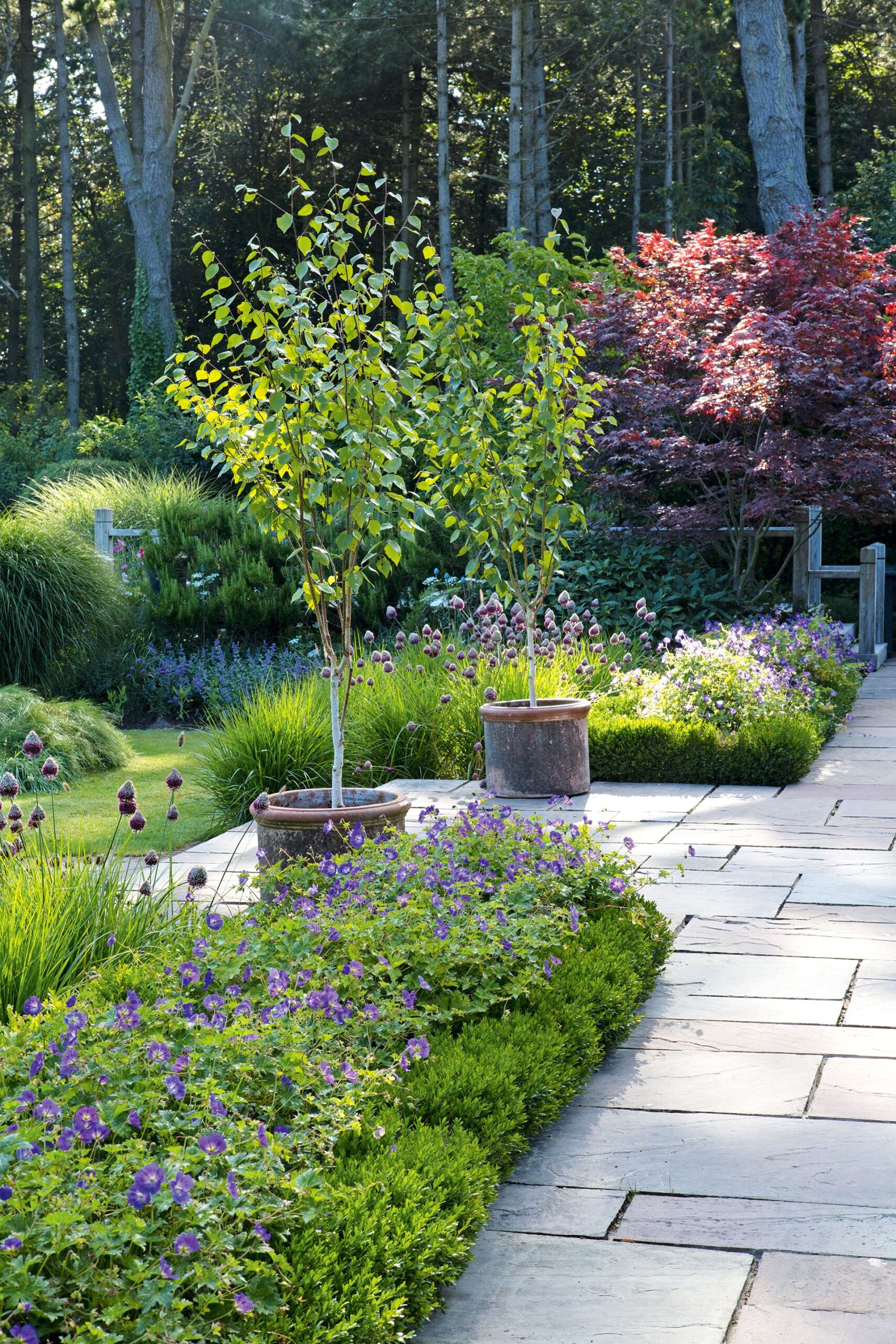 Creating a Beautiful Garden with Limited Space: Innovative Landscaping Ideas