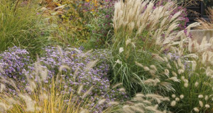 landscaping near house