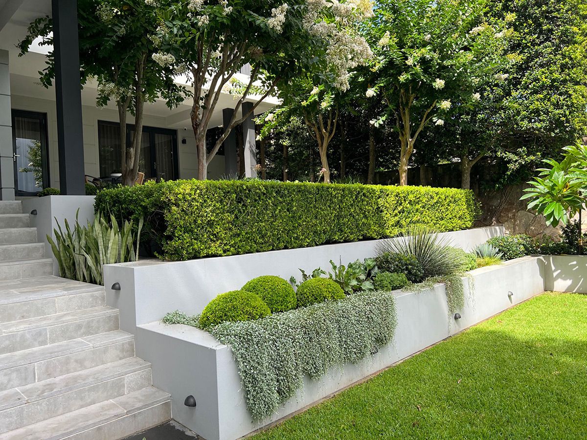 Creating a Beautiful Landscape on a Hilly Backyard