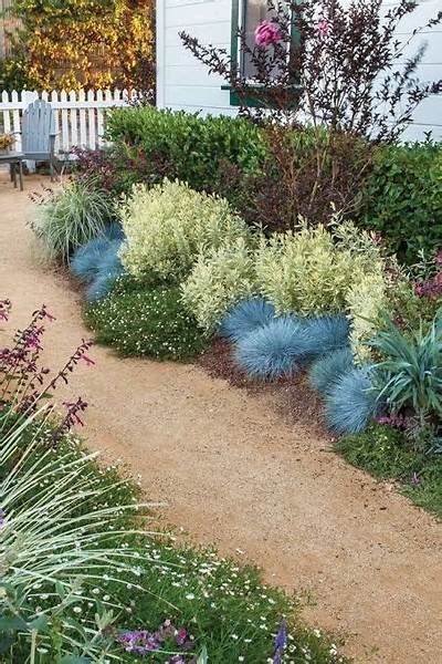 xeriscape front yard