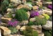 small garden rockery