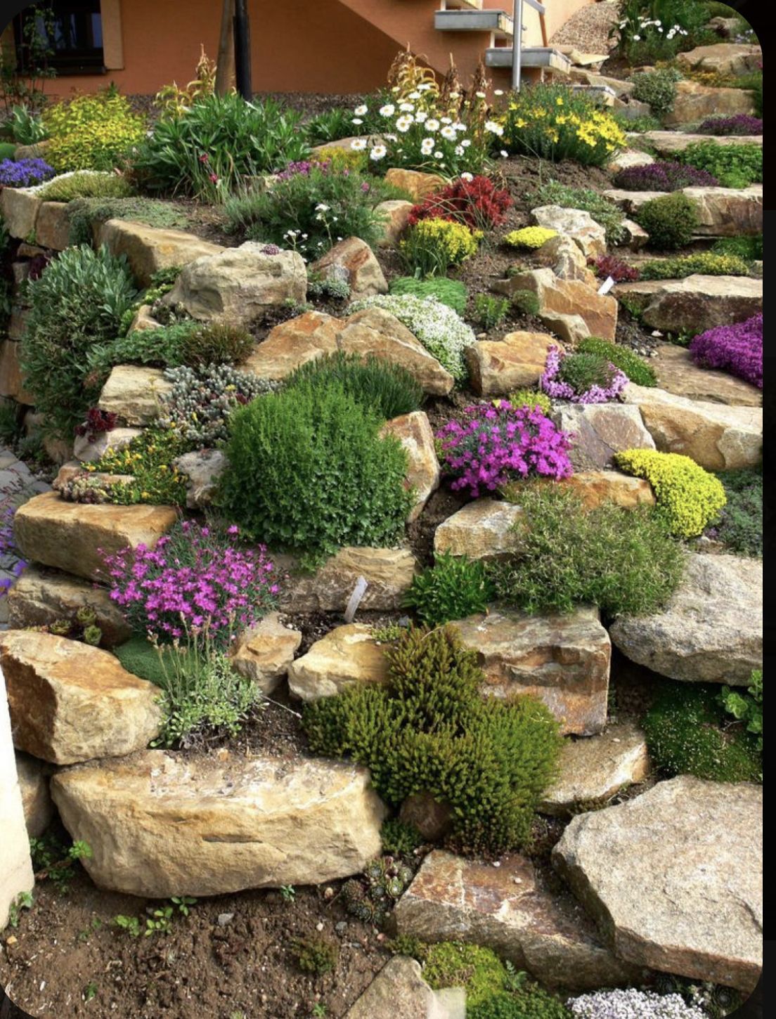 Creating a Beautiful Miniature Rock Garden for Your Backyard