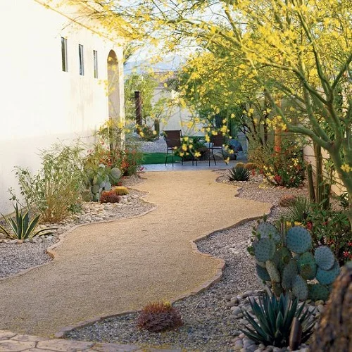 Creating a Beautiful Oasis: Desert Landscaping for Your Front Yard