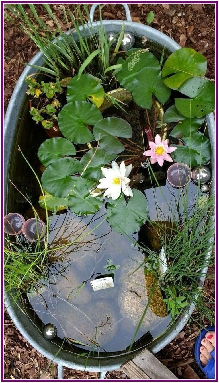 Creating a Beautiful Oasis: The Perfect Garden Pond for Your Outdoor Space