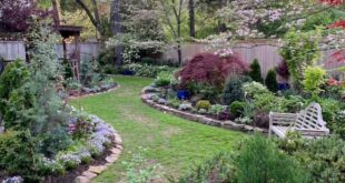 small backyard landscaping