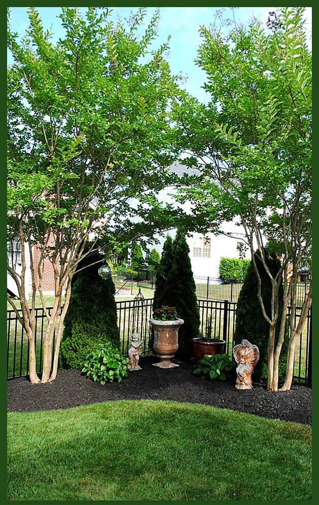 Creating a Beautiful Outdoor Oasis: Backyard Landscaping Ideas for Your Home