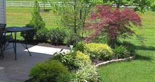 landscaping around patio