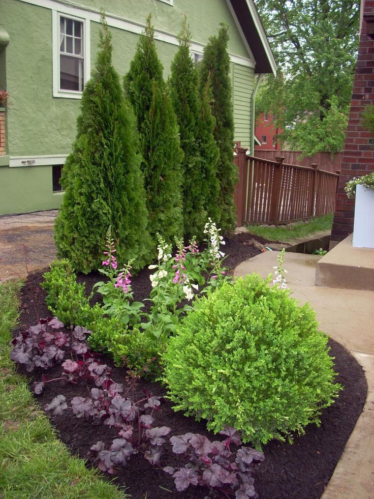 Creating a Beautiful Outdoor Oasis: Landscaping Tips for Your Patio Area