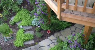 landscaping under deck