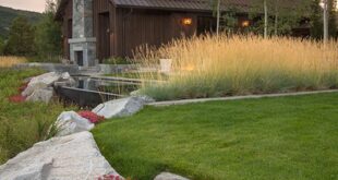 landscape designs