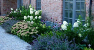 landscaping near house