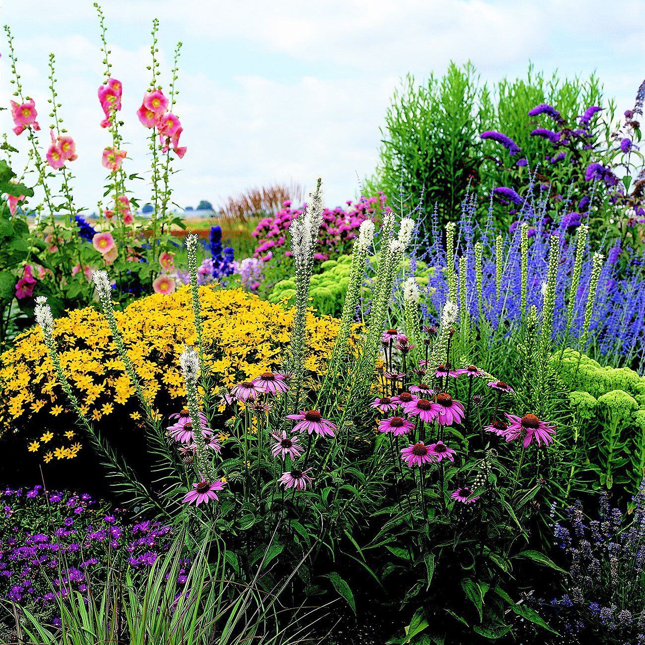 Creating a Beautiful Perennial Garden Layout for Front Yards