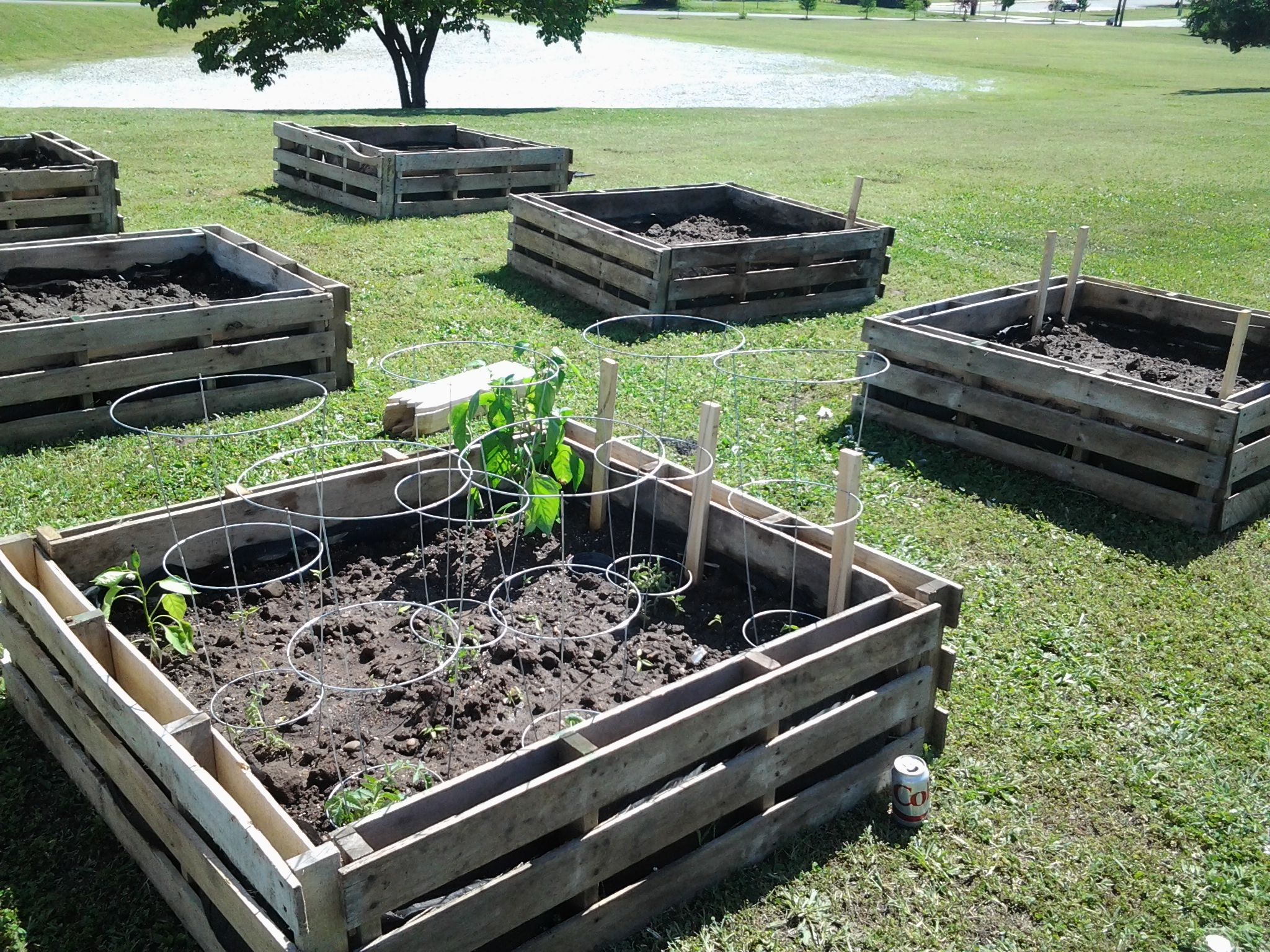 Creating a Beautiful Raised Garden Bed Using Pallets