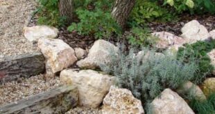 rock garden landscaping