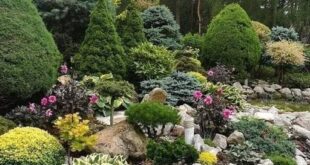 rock garden landscaping