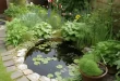 garden pond